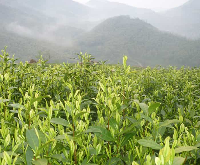 數(shù)控雕刻機(jī)廠家產(chǎn)品為什么有不同型號？